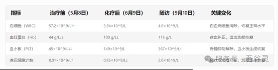 AML患者血常规复查报告——血小板与血红蛋白恢复