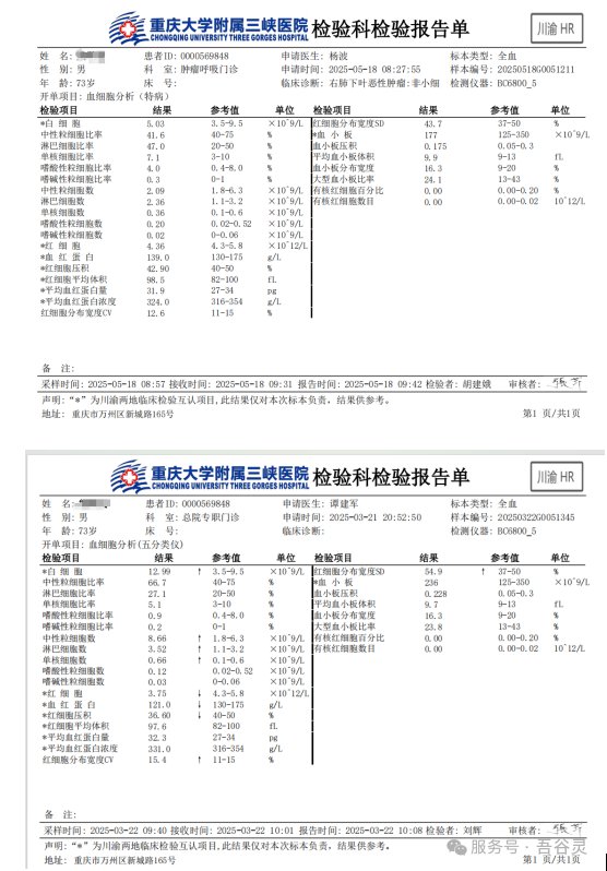 肝肾功能与安全性检查报告